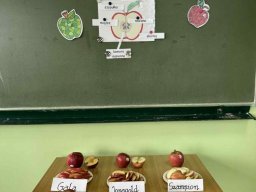 55760209212646316421314488256063879000582786n